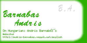 barnabas andris business card